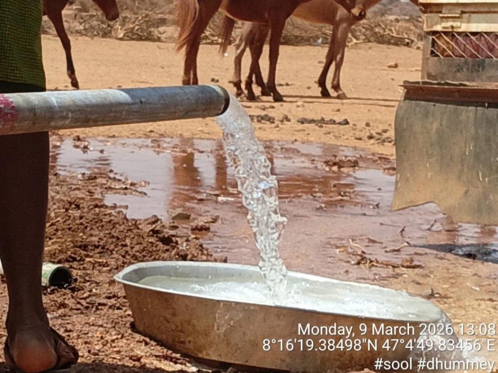 Water resources project in Sool region