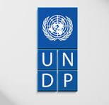UNDP